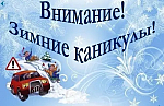 информационно-профилактическое мероприятие "Зимние каникулы"